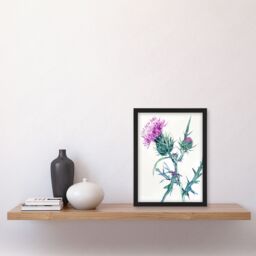 Artery8 Scottish Thistle Flower Bloom Floral Watercolour Framed Art Print in Purple - Size: A4 - thumbnail 4