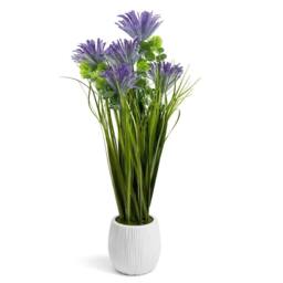 SPETLEK Larch Plants in Pot Flowers Garden Decor Purple Larch - thumbnail 1