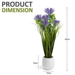 SPETLEK Larch Plants in Pot Flowers Garden Decor Purple Larch - thumbnail 2