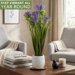 SPETLEK Larch Plants in Pot Flowers Garden Decor Purple Larch - thumbnail 5