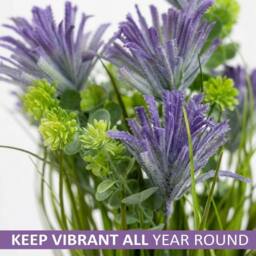 SPETLEK Larch Plants in Pot Flowers Garden Decor Purple Larch - thumbnail 3