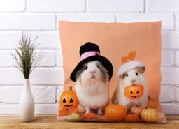 Warren Reed - Designer Trick Or Treating Guinea Pigs Cushions - Size: 33 cm x 48 cm - thumbnail 2