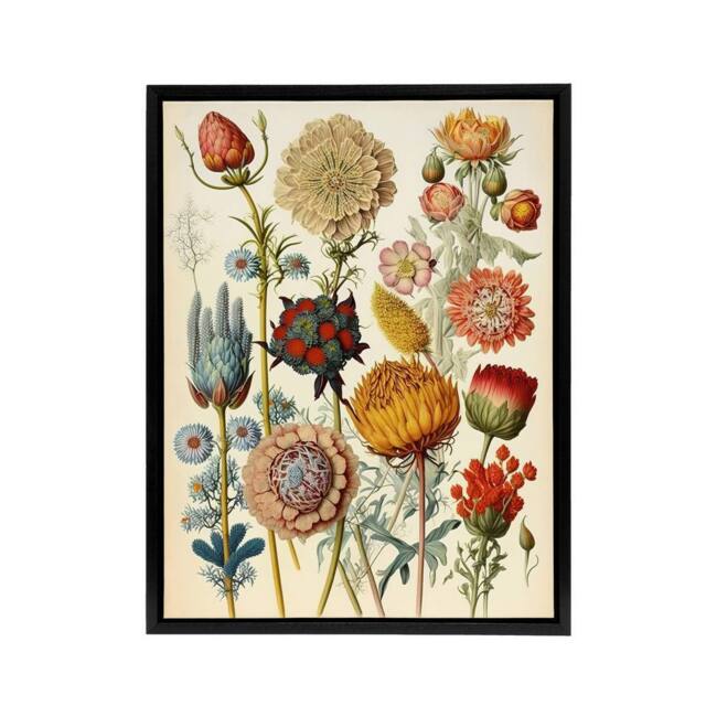 "Artery8 Ernst Haeckel Inspired Vintage Floral Framed Canvas Wall Art Print - Size: W12"" x H16""" - image 1