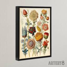 "Artery8 Ernst Haeckel Inspired Vintage Floral Framed Canvas Wall Art Print - Size: W12"" x H16""" - thumbnail 2