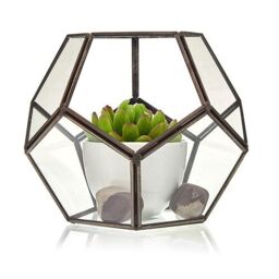 KDMD Glass Terrarium - Large Octagon in Brown - thumbnail 2