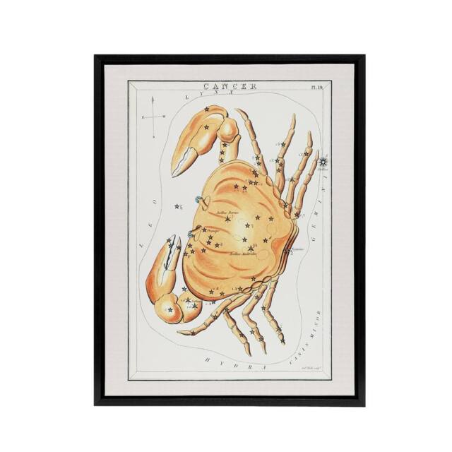 "Artery8 Vintage Cancer Constellation Illustration Hall Framed Canvas Wall Art in White - Size: W18"" x H24""" - image 1