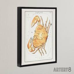 "Artery8 Vintage Cancer Constellation Illustration Hall Framed Canvas Wall Art in White - Size: W18"" x H24""" - thumbnail 2