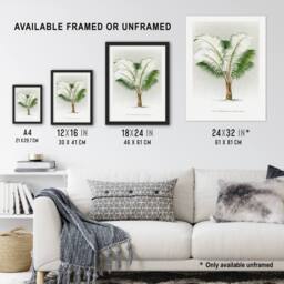 "Artery8 Ceroxylon Anticola Palm Tree Kerchove Wall Art Poster Print in White - Size: W12"" x H16""" - thumbnail 3