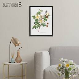 "Artery8 White Rose Floral Redoute Vintage Black Framed Canvas Wall Art - Size: W18"" x H24""" - thumbnail 3