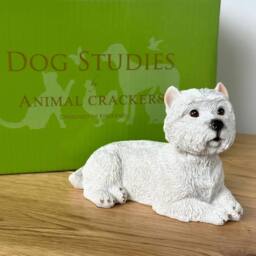 Animal Crackers Realistic Laying West Highland Terrier Figurine, 13cm, Gift Boxed in Natural White - thumbnail 1