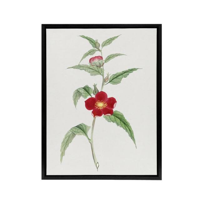 "Artery8 Pomegranate Flower Framed Canvas Wall Art Print Vintage Japan Botanical in Green - Size: W12"" x H16""" - image 1