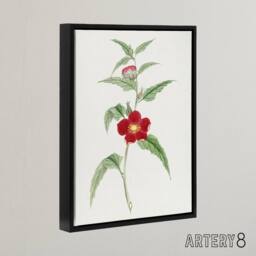 "Artery8 Pomegranate Flower Framed Canvas Wall Art Print Vintage Japan Botanical in Green - Size: W12"" x H16""" - thumbnail 2