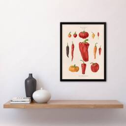 Artery8 Capsicums & Chili Peppers Ernst Benary Framed Wall Art Print in White - Size: A4 - thumbnail 4