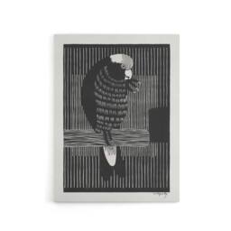 "Artery8 Stylised Galah Cockatoo Bird De Mesquita Canvas Wall Art Print in Black - Size: W12"" x H16""" - thumbnail 1