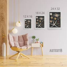 "Artery8 Varieties of Marine Life Starfish Albert I Canvas Wall Art Print in Black - Size: W12"" x H16""" - thumbnail 4