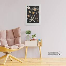 "Artery8 Varieties of Marine Life Starfish Albert I Canvas Wall Art Print in Black - Size: W12"" x H16""" - thumbnail 3
