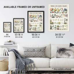 Artery8 School & family chart No XXI Calkins Framed Wall Art Print in White - Size: A4 - thumbnail 3