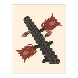 Artery8 Samuel J De Mesquita Framed Wall Art Print Stylised Blooming Cactus in Beige - Size: A4 - thumbnail 3