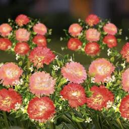 Havendro 2 Pack Pink small clove Solar Powered Lights Garden - thumbnail 2