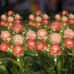Havendro 2 Pack Pink small clove Solar Powered Lights Garden - thumbnail 1