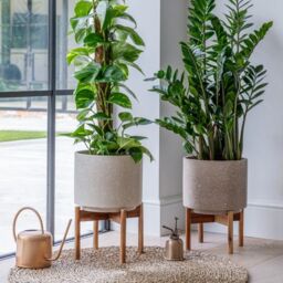 Ivyline Valetta Caramel Speckled Planter with Stand H37cm D28cm in Light Beige - thumbnail 5