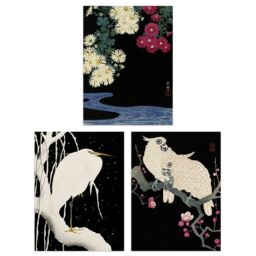Artery8 Wall Art Print Pack of 3 A4 Ohara Koson Japan Kachō-e Bird & Flower Heron Cockatoo Japanese Paintings Living Room s Set - thumbnail 1