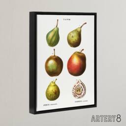 "Artery8 Pear Varieties Illustration Redoute Black Framed Canvas Wall Art in White - Size: W12"" x H16""" - thumbnail 2