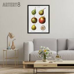 "Artery8 Pear Varieties Illustration Redoute Black Framed Canvas Wall Art in White - Size: W12"" x H16""" - thumbnail 3