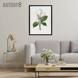 "Artery8 Saucer Magnolia Flower Redoute Vintage Black Framed Canvas Wall Art in White - Size: W12"" x H16""" - thumbnail 3