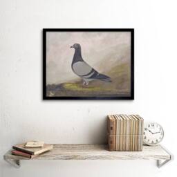 "Artery8 Painting Animal Pigeon Dove Bird Home Decor 12x16"" Framed Art Print in Grey - Size: W12"" x H16""" - thumbnail 2