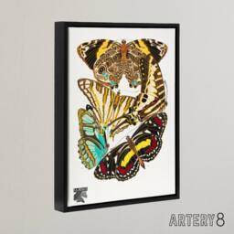 "Artery8 Papillons Butterflies Vintage Framed Canvas Wall Art Print Eugene Seguy - Size: W12"" x H16""" - thumbnail 2