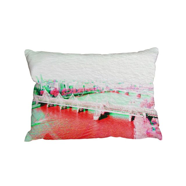 Benjamin Tate Design Cushions - LONDON EYE VEIW RED (Cushion)