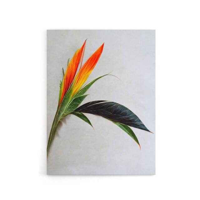 "Artery8 Bird Of Paradise Tropical Flower Canvas Wall Art Print - Size: W18"" x H24""" - image 1