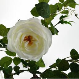 Leaf 70cm White Camellia Rose Plant Artificial Premium - thumbnail 4