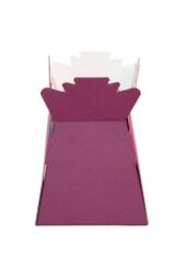KDMD Burgundy Living Vase Pink Vase design for everyday use