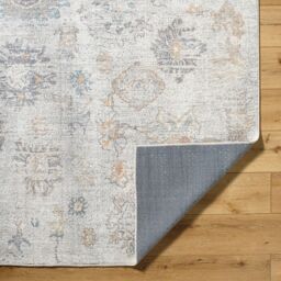 Livabliss Our Pnw Home-Olympic Beige Brown Blue Traditional Boho Living Dining Rug in Light Brown - Size: 160 cm x 215 cm - thumbnail 4