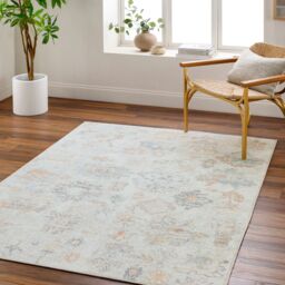 Livabliss Our Pnw Home-Olympic Beige Brown Blue Traditional Boho Living Dining Rug in Light Brown - Size: 160 cm x 215 cm