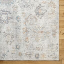 Livabliss Our Pnw Home-Olympic Beige Brown Blue Traditional Boho Living Dining Rug in Light Brown - Size: 160 cm x 215 cm - thumbnail 7