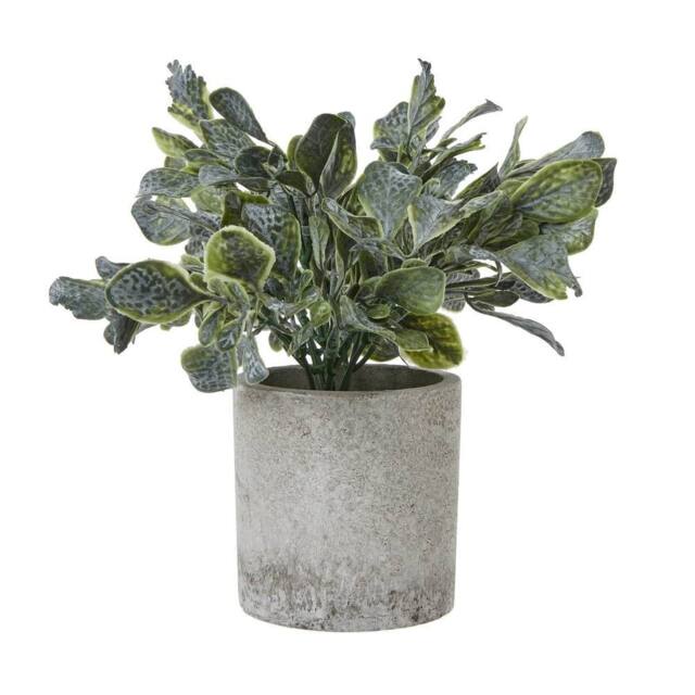 Sostter Faux Eucalyptus in Grey Planter in Blue - image 1