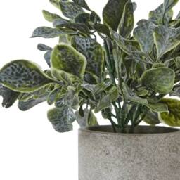 Sostter Faux Eucalyptus in Grey Planter in Blue - thumbnail 3
