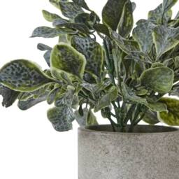 Sostter Faux Eucalyptus in Grey Planter in Blue - thumbnail 2