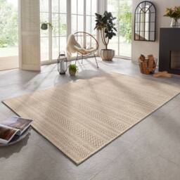 THE RUGS Arras Indoor Outdoor Rug & Runner Flatwoven Polypropylene Rug in Cream - Size: 80 cm x 150 cm - thumbnail 6