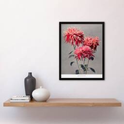 Artery8 Ogawa Kazumasa Framed Wall Art Print Pink Chrysanthemum Flowers - Size: A4 - thumbnail 2