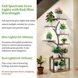 Havendro Large Plant Stand with Grow Lights Metal Frame in Black - thumbnail 6