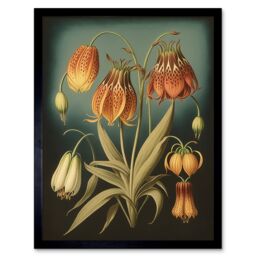 "Artery8 Wall Art Print Fritillaria Flower Plant Ernst Haeckel Inspired Plant Study Modern Watercolour Painting Art Framed in Black - Size: W12"" x H16""" - thumbnail 1