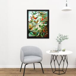"Artery8 Wall Art Print Haeckel Plate 99 Hummingbirds Large Framed Wall Décor Art in White - Size: W18"" x H24""" - thumbnail 2
