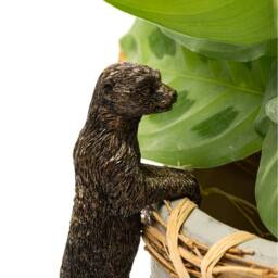 Jardinopia Meerkat Plant Pot Hanger - L10.5 x W3.5 x H5 cm in Bronze - thumbnail 4