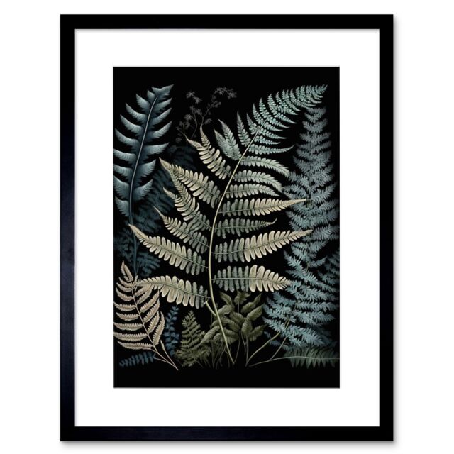 "Artery8 Wall Art Print Fern Frond Species Detailed Botanical Artwork Framed 9X7 Inch in Black - Size: W7"" x H9""" - image 1