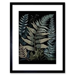 "Artery8 Wall Art Print Fern Frond Species Detailed Botanical Artwork Framed 9X7 Inch in Black - Size: W7"" x H9""" - thumbnail 1