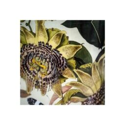Royal Botanic Gardens Kew Kew Botanical Retreat Planter With Saucer 14Cm - Metal - Detachable Saucer - Perfect For Gifting ✨ in Green - thumbnail 7